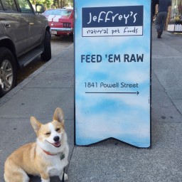 Jeffrey’s Natural Pet Foods SF